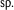 sp.